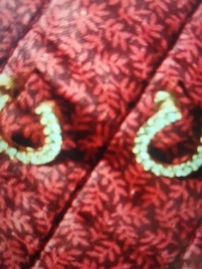 Gold Hoop Earrings on Red Patterned Fabric